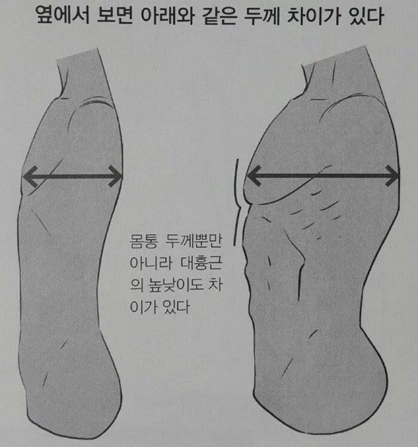 김솔음                                     브라운
김솔음이랑 브라운 흉통 차 이정도는 돼야 한다고 생각합니다