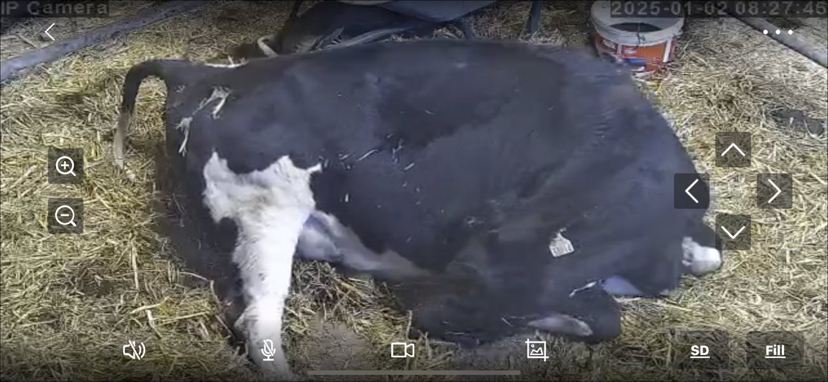 And so it begins. About 14 days earlier than anticipated.  If ya know ya know.