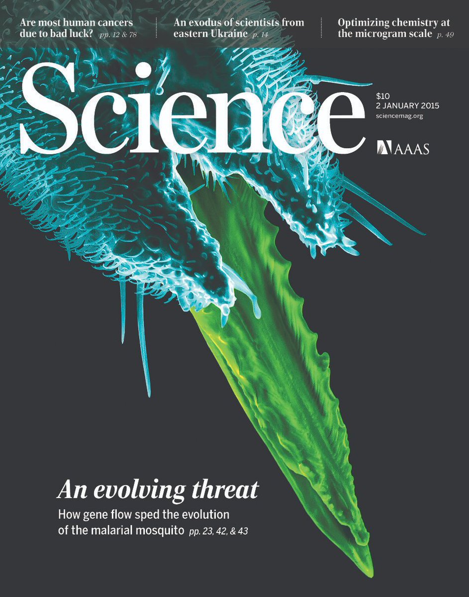 Wow - 10 years since our #mosquito #genome project!
🟣 science.org/doi/full/10.11…
