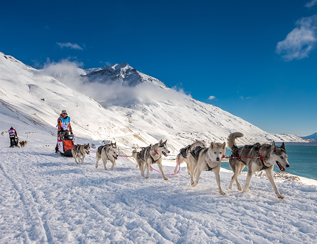 🐶❄️Jusqu'à dimanche, jouez avec France Bleu et gagnez votre séjour expérience VIP <a href="/lagrandeodyssee/">La Grande Odyssée VVF</a> du 18 au 20 janvier à Val-Cenis en <a href="/hautemaurienne/">Haute Maurienne Vanoise 🏔</a> Vanoise 

francebleu.fr/vie-quotidienn… #lagrandeodyssee