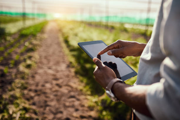 Shambahubltd (@shambahubltd) on Twitter photo Farming made better, one step at a time.
At <a href="/shambahubltd/">Shambahubltd</a> , we’re empowering farmers with tools, training, and innovative solutions for sustainable growth. Let’s thrive together in 2025.
#agriculture #empoweringfarmers #agtech Farming made better, one step at a time.
At <a href="/shambahubltd/">Shambahubltd</a> , we’re empowering farmers with tools, training, and innovative solutions for sustainable growth. Let’s thrive together in 2025.
#agriculture #empoweringfarmers #agtech