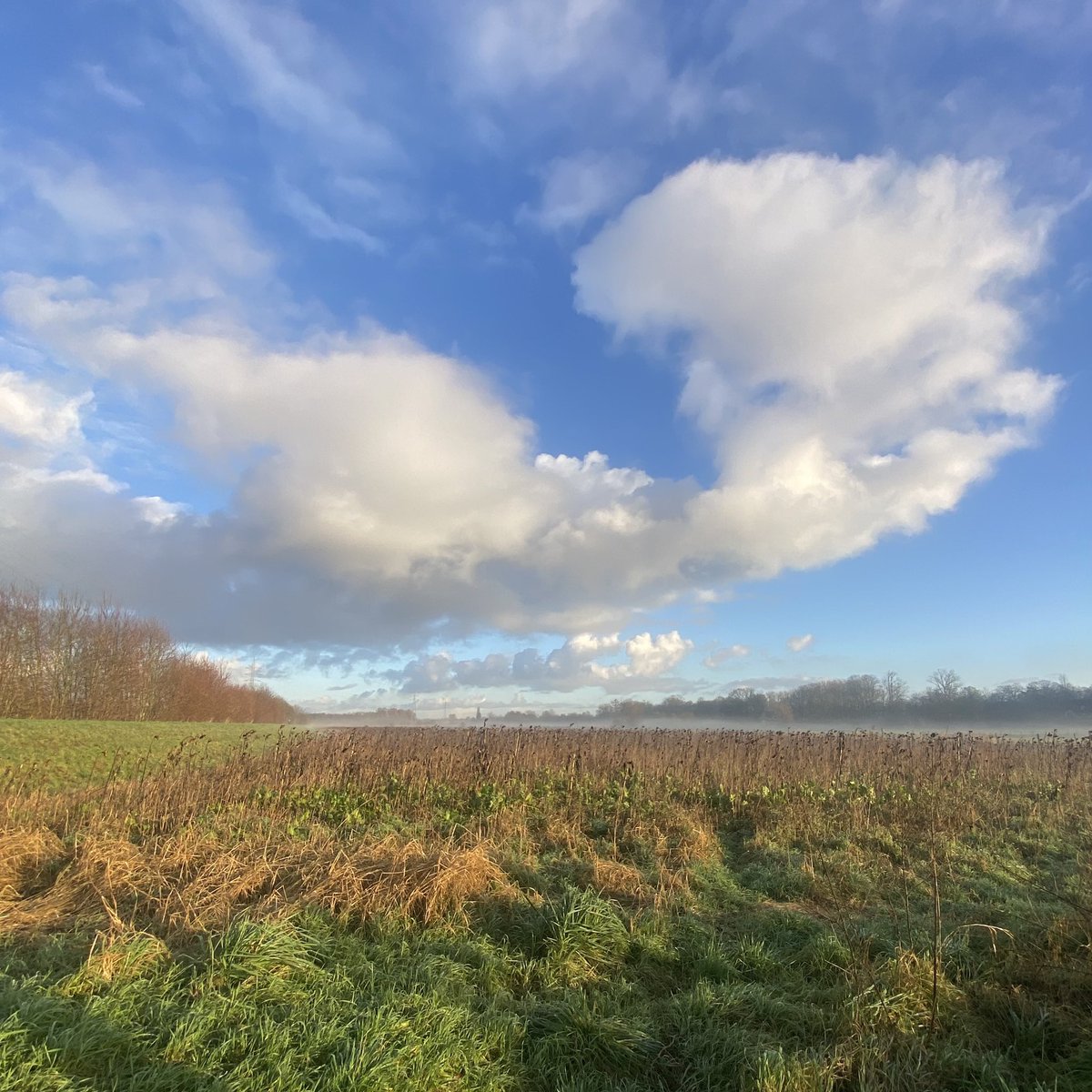 #vrtweer <a href="/Weerbord/">Weerbord☀️☔️</a> <a href="/MeteovistaBe/">meteovista.be</a> <a href="/HetweerinBelgie/">Meteo Reni - Het weer in België</a> <a href="/mooieluchten/">mooieluchten</a> <a href="/avstelevisie/">AVS Oost-Vlaamse Televisie</a> <a href="/HendrikRemue/">hendrik.remue@gmail.com</a> 
Heusden, 02/01, 09.57,