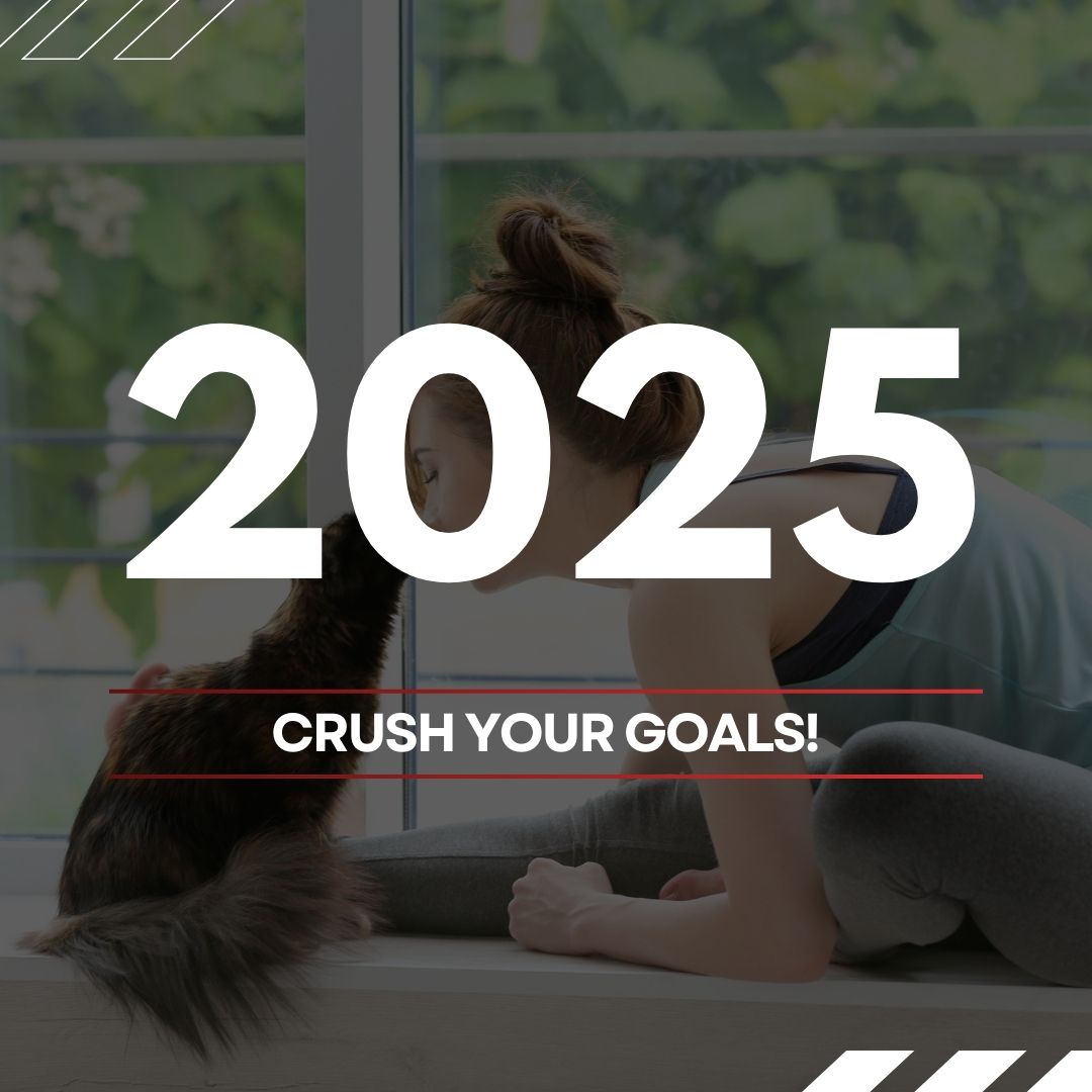 Cats chase goals with precision. In 2025, let's adopt that focus and pounce on our dreams! I'm set on napping like a cat. What about you? #HappyNewYear #CatGoals #PounceInto2025 #DreamBig2025 #YearOfTheCat