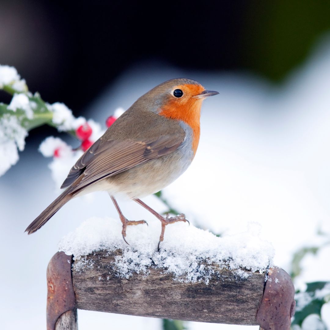 NrtDublin Drug&AlcTF tweet media