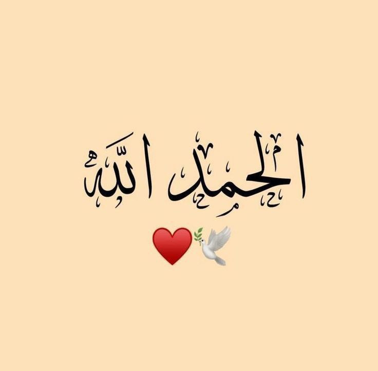 Assalamu alaikum  
My dear x mate's 
Stay connected 
Everything is allahmdulila