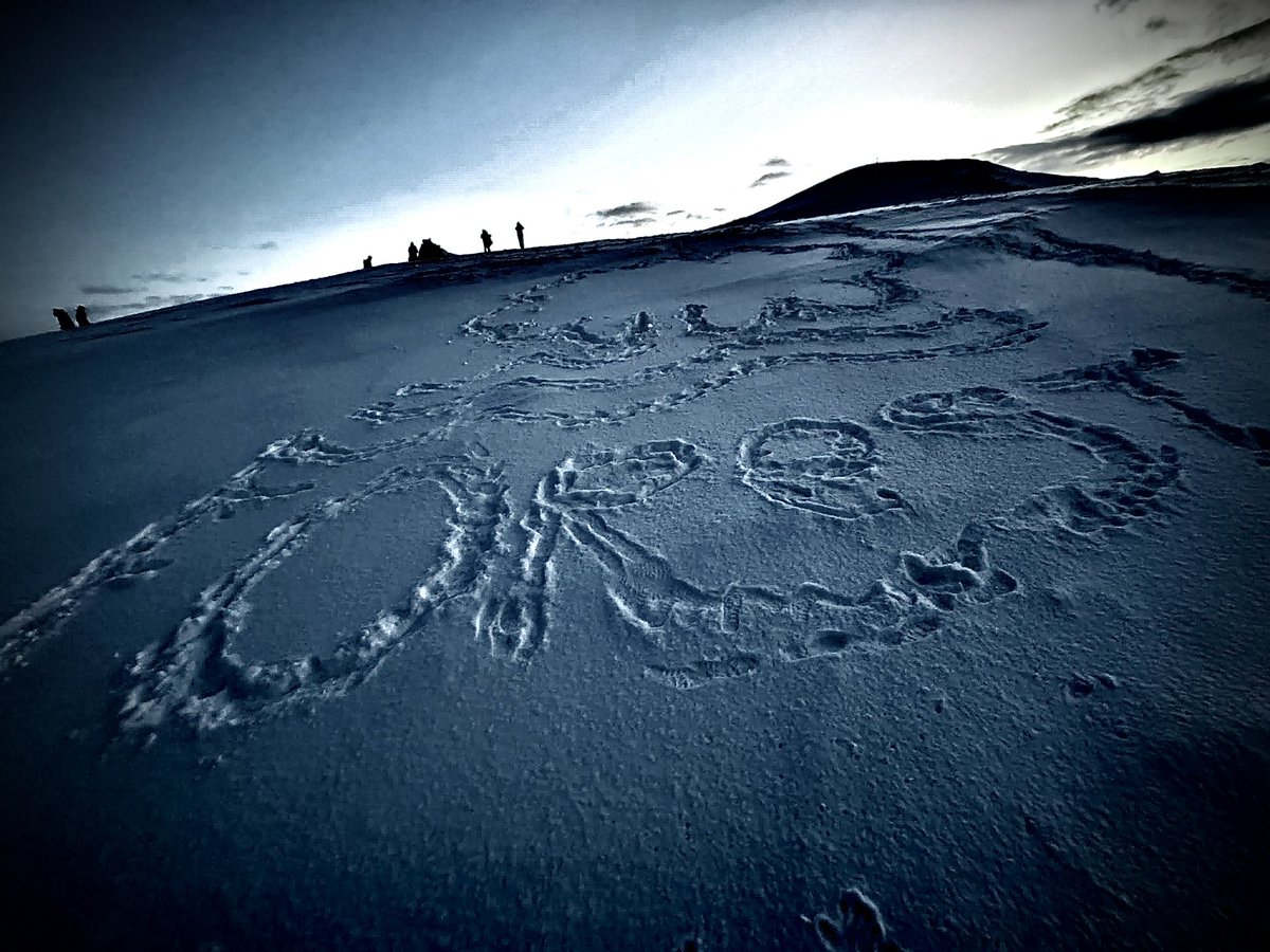 thegreywhippet1's tweet image. NFFC above the Arctic circle in Tromso, Norway. 🇳🇴 Tromso IL possible opponents in Europe next year - preparing early 🔴⚪️