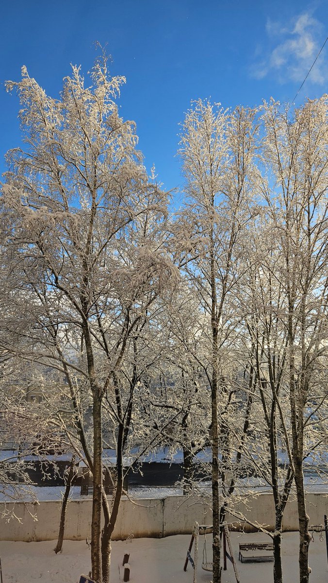 Brilliant weather that we had several hours before the new year