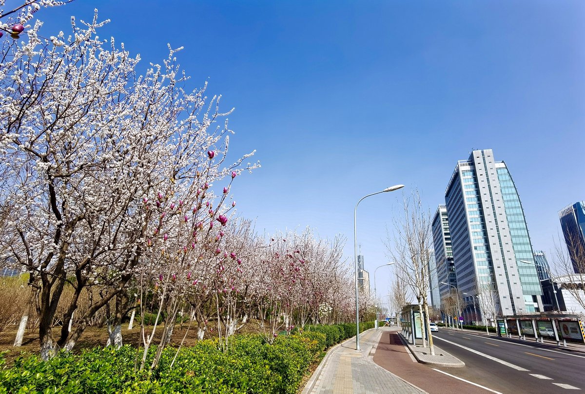 BusinessBeijing's tweet photo. Beijing recorded 290 days of good air quality last year, the highest since monitoring began, the municipal ecology and environment bureau said Thursday. #Beijing #BeijingQuickUpdates https://t.co/JcvWipYbKn