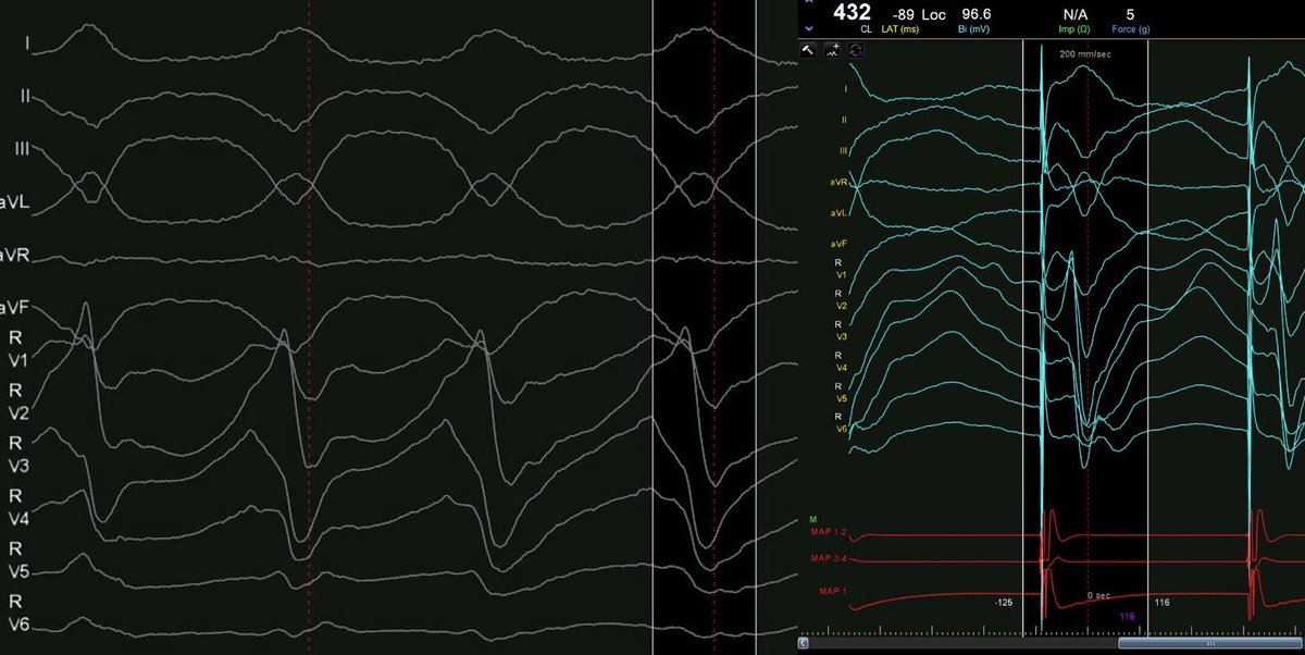 Emir Baskovski tweet media