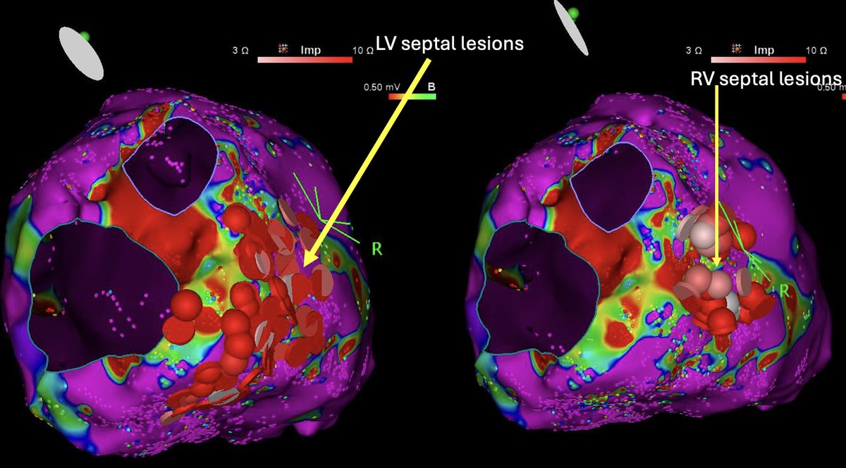 Emir Baskovski tweet media