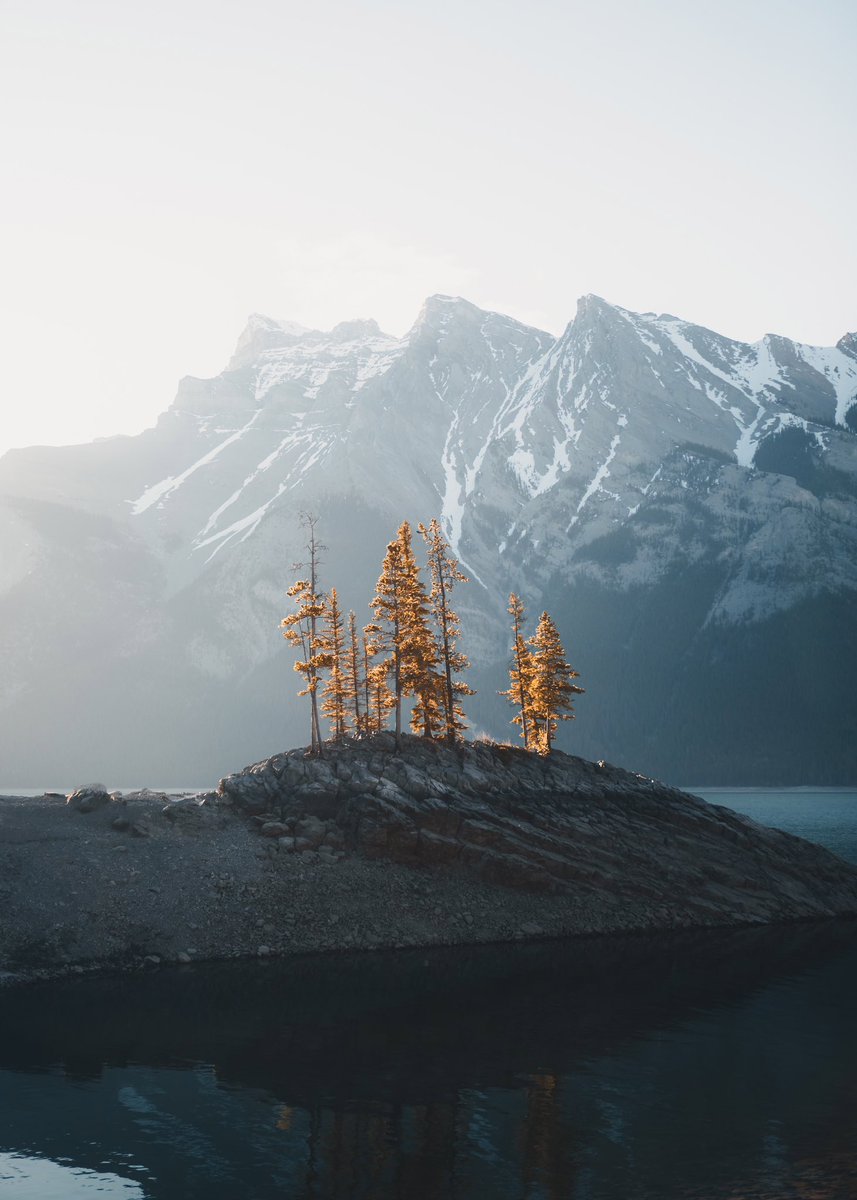 Alex Mack tweet media