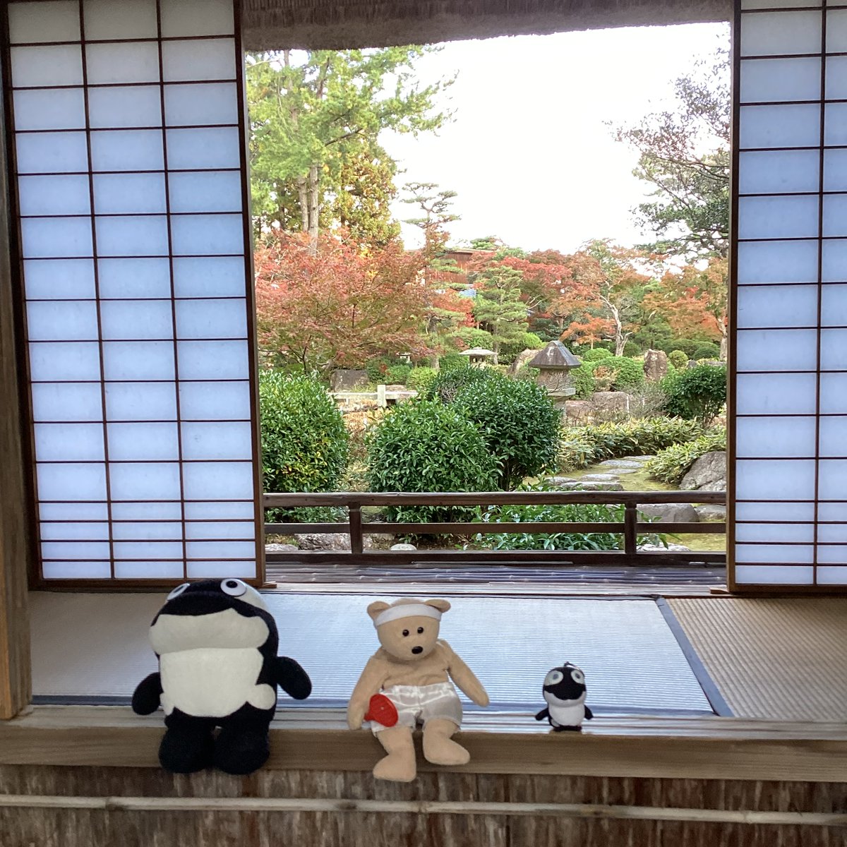NiwakaFerreris's tweet photo. My stuffed #Grampus-kuns & Feder-bear enjoyed the scenery in the Moroto Garden on December 1st. #ThrowbackThursday #Retro24 https://t.co/7ealAm3LFV