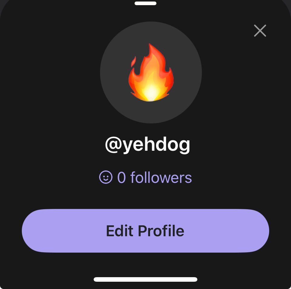 yehdog10 tweet media