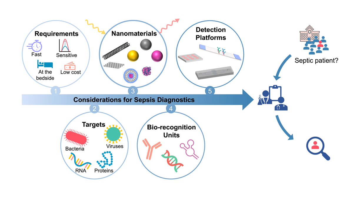 Sebastian Kruss (@krusslab) on Twitter photo Congrats to Christina! She reviewed novel strategies and challenges to diagnose sepsis <a href="/AdvPortfolio/">Advanced Portfolio News</a> <a href="/SolvationSci/">Solvation Science</a> <a href="/ruhrunibochum/">Ruhr-Universität Bochum</a> We hope it helps the field to join forces and develop better optical tools for early and fast diagnostics. tinyurl.com/mrsufmau Congrats to Christina! She reviewed novel strategies and challenges to diagnose sepsis <a href="/AdvPortfolio/">Advanced Portfolio News</a> <a href="/SolvationSci/">Solvation Science</a> <a href="/ruhrunibochum/">Ruhr-Universität Bochum</a> We hope it helps the field to join forces and develop better optical tools for early and fast diagnostics. tinyurl.com/mrsufmau