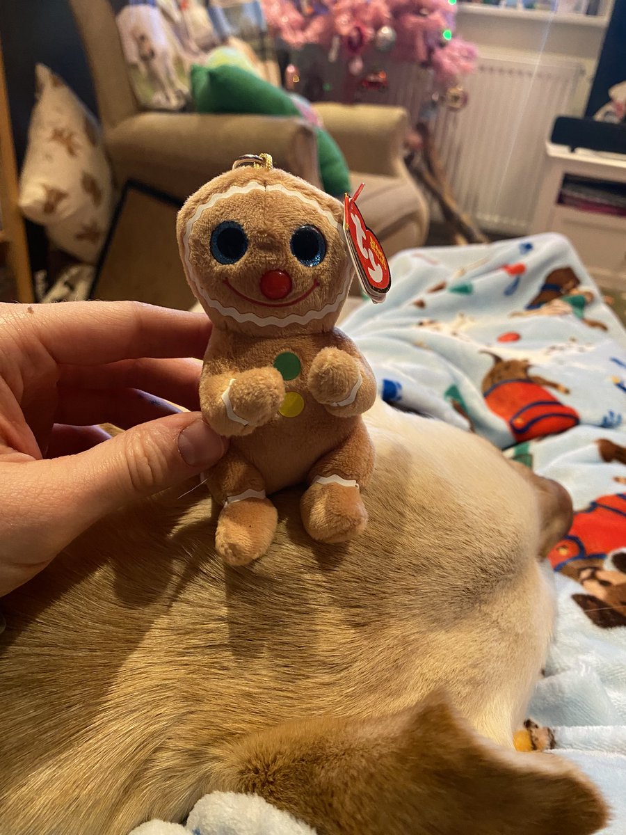 I found him and bought him. He’s just a lil guy. 🥹