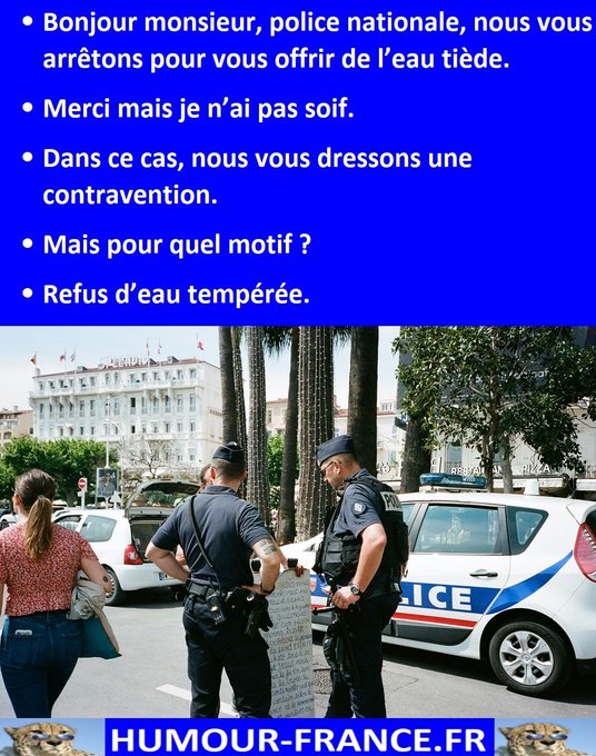 text alternatif