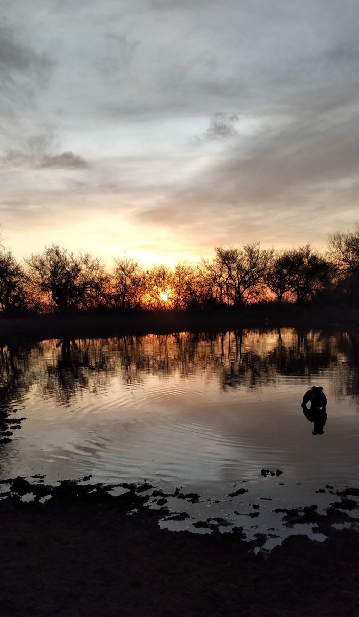 Difundieron las imágenes ganadoras de ‘La Naturaleza con tu Móvil’
📷El certamen de fotografía natural en Villa de La Quebrada organizado por la Fundación Eco-Visión llegó a su fin y dejó postales del entorno natural que rodea a ‘la capital de la fe’.
agenciasanluis.com/2024/12/18/101…