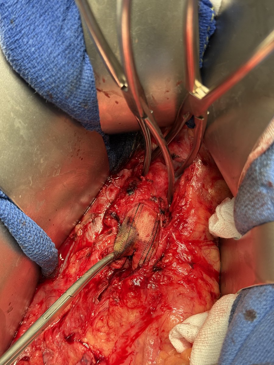 Xavier Berard tweet media