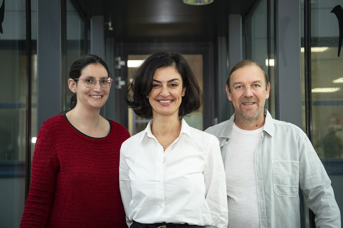 JIC_Wheat Transformation and Genome Editing (@jicwheatge) on Twitter photo Happy New Year!
The <a href="/JICWheatGE/">JIC_Wheat Transformation and Genome Editing</a> wheat transformation team <a href="/JohnInnesCentre/">John Innes Centre</a> would like to extend our warmest wishes to you, our collaborators and supporters.
Here’s to another year of fantastic progress and great opportunities and possibilities!
<a href="/DSW_ISP/">Delivering Sustainable Wheat</a> Happy New Year!
The <a href="/JICWheatGE/">JIC_Wheat Transformation and Genome Editing</a> wheat transformation team <a href="/JohnInnesCentre/">John Innes Centre</a> would like to extend our warmest wishes to you, our collaborators and supporters.
Here’s to another year of fantastic progress and great opportunities and possibilities!
<a href="/DSW_ISP/">Delivering Sustainable Wheat</a>