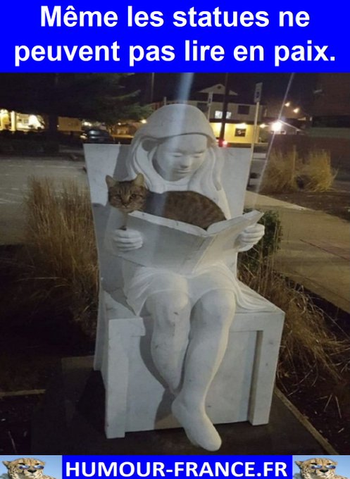 text alternatif