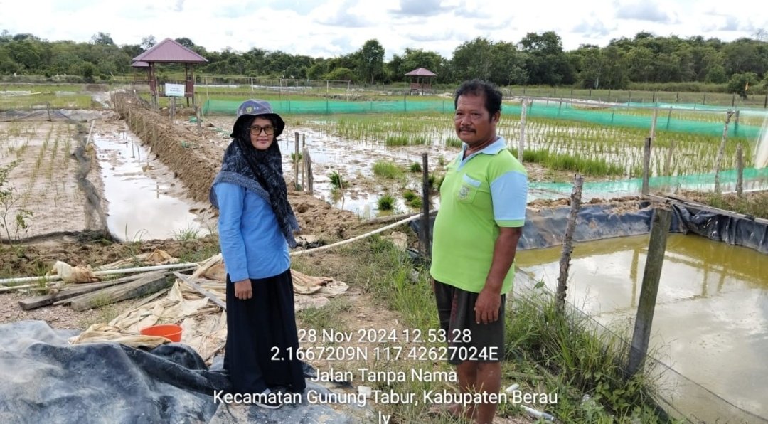 arek_berau's tweet photo. Kamis, 28/11/2024, Kunjungan kelompok perikanan sekaligus koordinasi dengan petugas pendamping PT. Beraucoal terkait rencana kunjungan tim dinas perikanan Bulungan ke lahan minapadi di Kampung Tasuk Kec. Gunung Tabur 
#GiatLuhkanSatminkalTegal 
#Luhkanberau
#Luhlapor https://t.co/BZNp7mWBOY