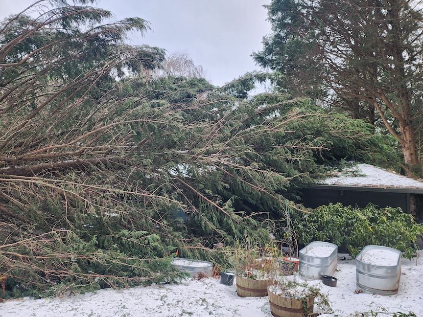 Doug Oster (@dougoster1) on Twitter photo Michael Spaulding from <a href="/DaveyTree/">Davey Tree Expert Co</a> takes us behind the scenes to learn about how his teams prepare for nasty winter storms and how they work with homeowners to get things back to normal.
Listen and subscribe to part one here- …kingtreeswithdaveytree.buzzsprout.com Michael Spaulding from <a href="/DaveyTree/">Davey Tree Expert Co</a> takes us behind the scenes to learn about how his teams prepare for nasty winter storms and how they work with homeowners to get things back to normal.
Listen and subscribe to part one here- …kingtreeswithdaveytree.buzzsprout.com