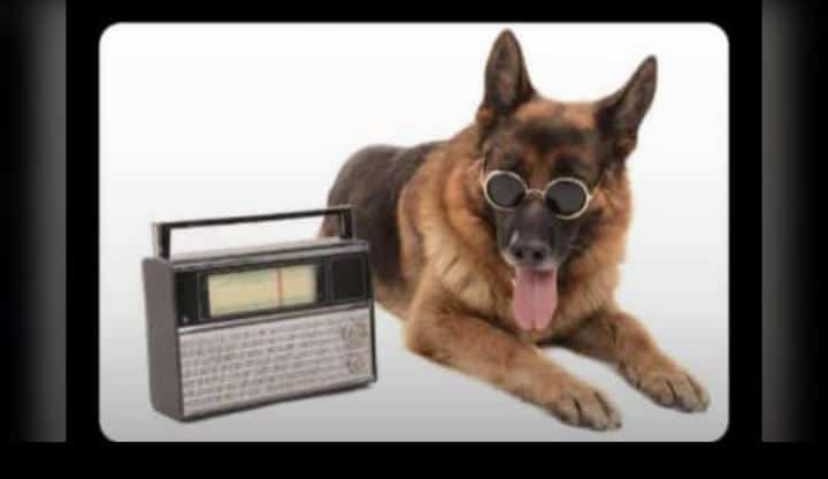 Guys it has been 3 years I didn’t use Twitter nde it’s showing me flames 🔥 😭😭 For starters I don’t even know were my notifications and Messages are.🤣🙆🏾‍♀️ help me utale 🤣🤣🏃🏽‍♀️🏃🏽‍♀️🏃🏽‍♀️🏃🏽‍♀️