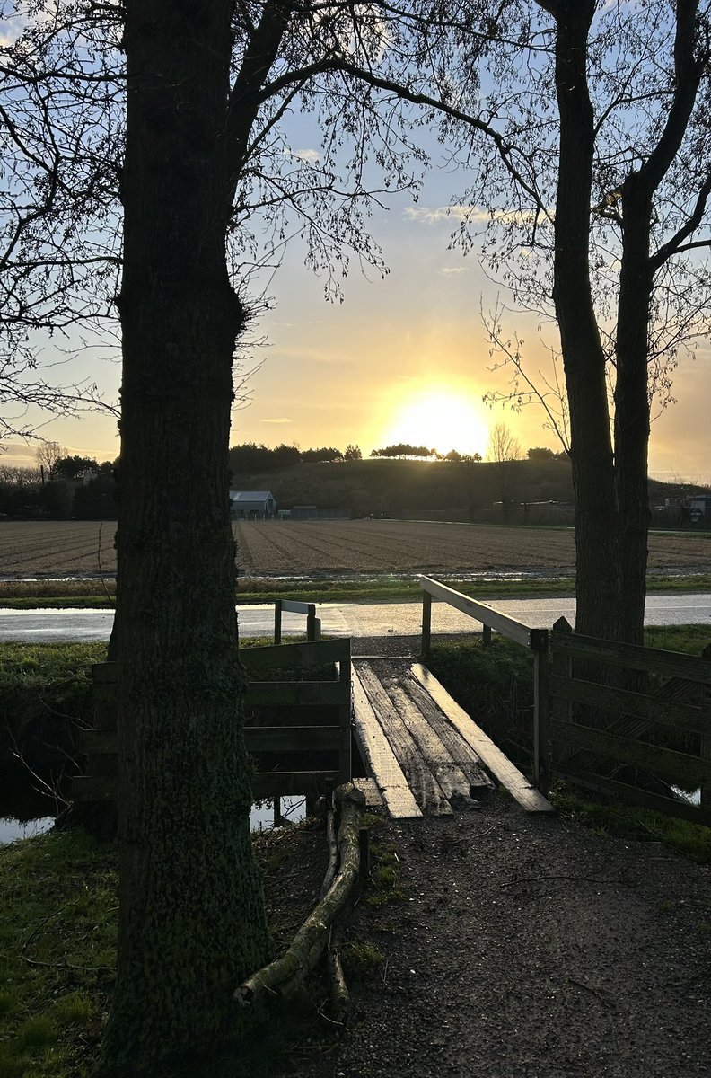 ☀️ Vanmorgen samen een rondje gelopen en de zon zien opkomen. ✨ Om vrolijk van te worden na wekenlang grauwe luchten en regen! 🤩 Fijne zonnige dag allemaal! 🌿☀️
#enjoythelittlethings #relax #Balans #DuurzameInzetbaarheid #genieten #zonopkomst