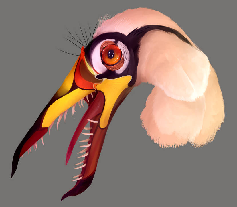 Natalia Jagielska (@wrycritic) on Twitter photo Big news for big Jurassic pterosaur fans! The largest well-preserved Rhamphorhynchus re-described! Big news for big Jurassic pterosaur fans! The largest well-preserved Rhamphorhynchus re-described!