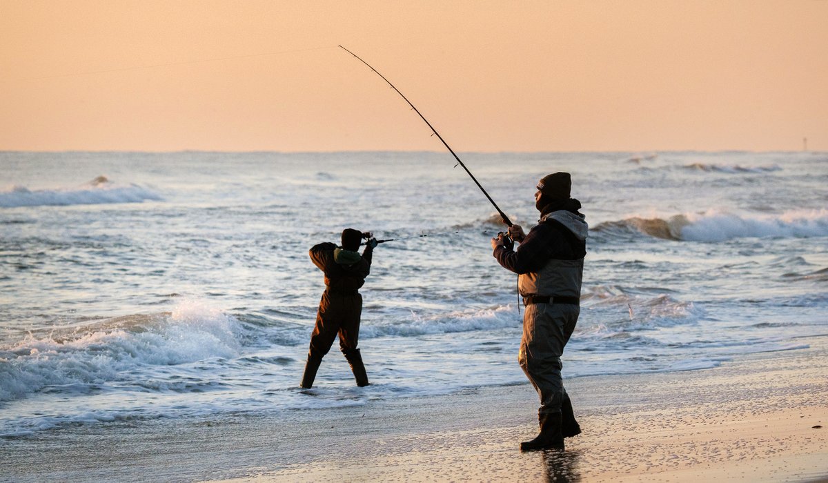 Peter Ackerman tweet media