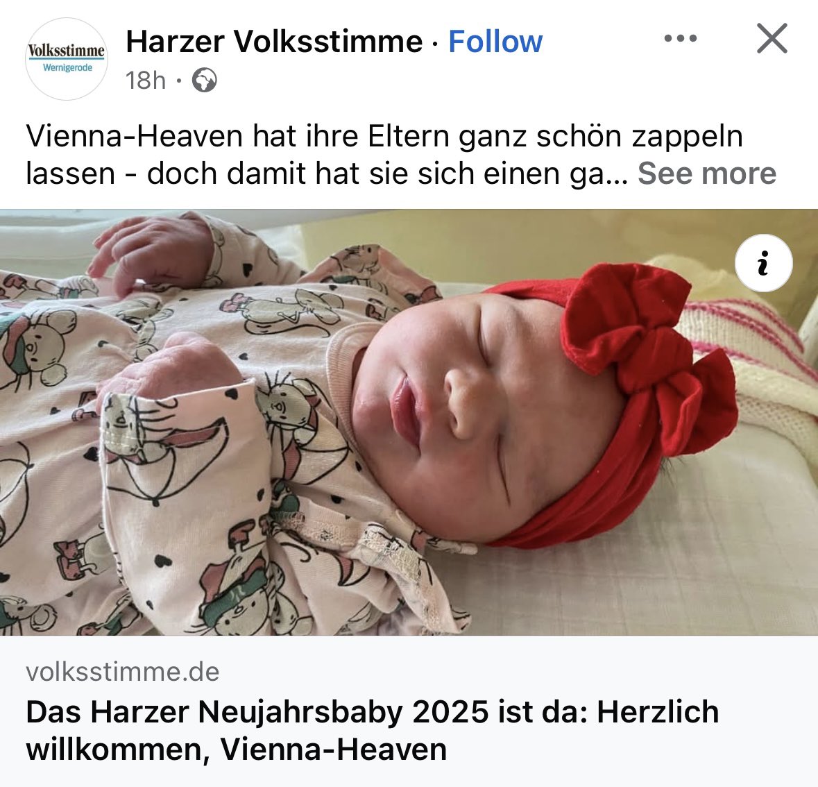 Anabel Schunke tweet media