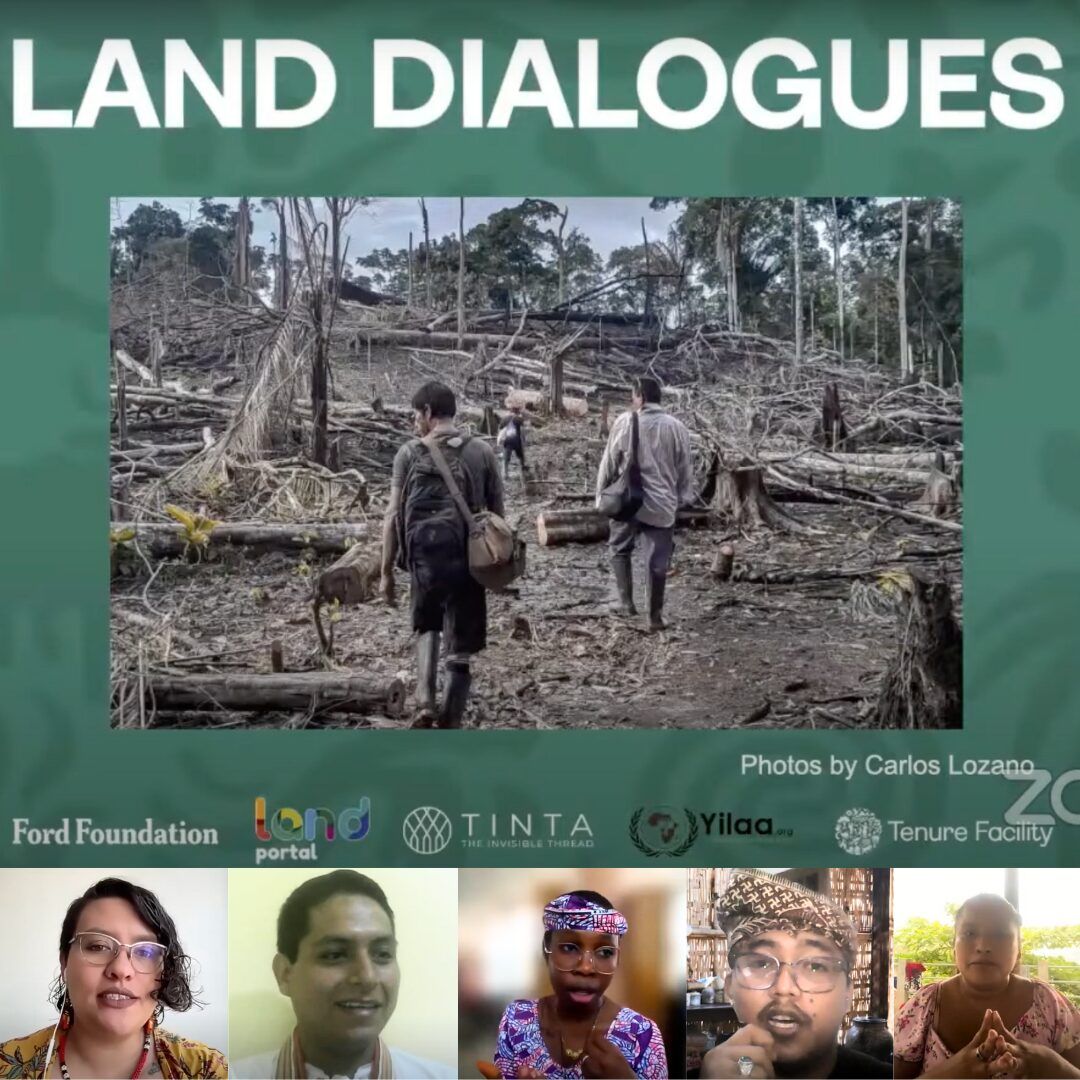 ✊ How are Indigenous youth combatting #climatechange through #landrights?

▶️ Listen to this webinar which explores the dynamic relationship between #land tenure systems &amp; #climateresilience through the lens of #Indigenous Peoples and #community #youth.

bit.ly/4fslwaz