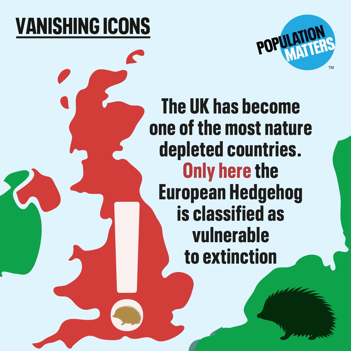 Hedgehog numbers in the UK have halved in 20 years. Habitat loss, roads and population growth are driving their decline. 🦔💔

#VanishingIcons #WildlifeCrisis #Hedgehogs