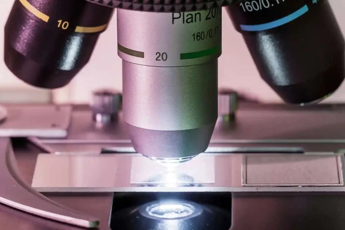 lifesciencesmag's tweet photo. Weight loss can transform lives, but are GLP-1 drugs risking muscle &amp; bone health? Doctors warn these meds might cause vital muscle/bone loss. Let's focus on health, not just weight!

Read more: https://t.co/WYaIU2JhT3

#RamanMicroscopy #HighResolutionImaging #BiologicalSamples https://t.co/9faBBa4svK