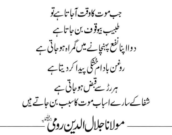 Assalamu Alaikum ❤️ 
Good Evening dears