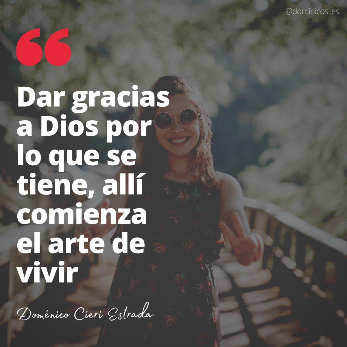 Dominicos tweet media