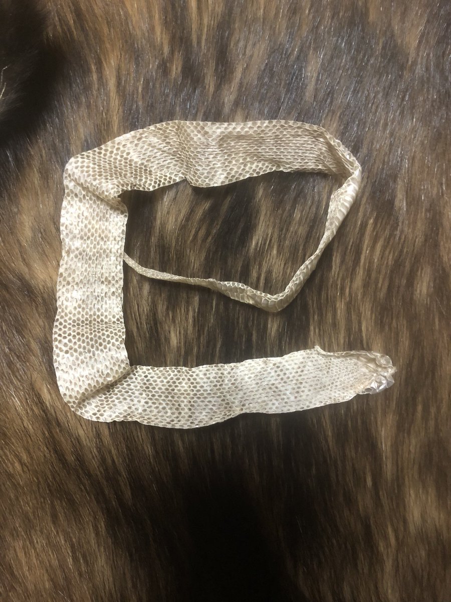 YB20611752's tweet photo. 皆様

あけましておめでとうございます

今年もよろしくお願いします🐍

穴熊の毛皮にマムシの抜け殻にて https://t.co/xMVYrTBzFI