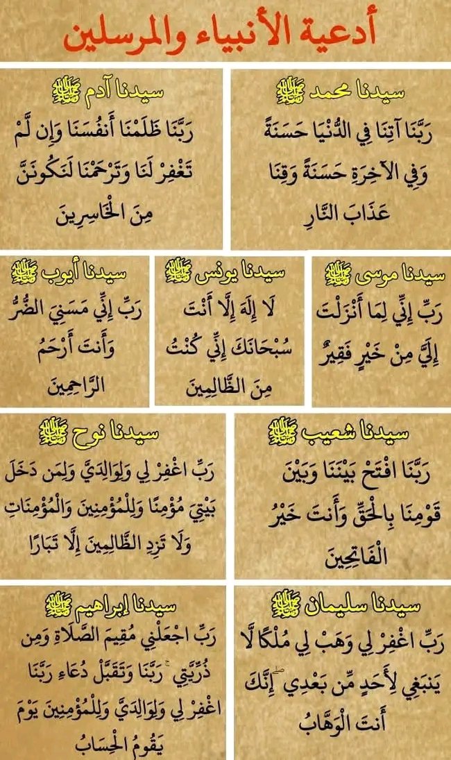 الشيخ بدر tweet media