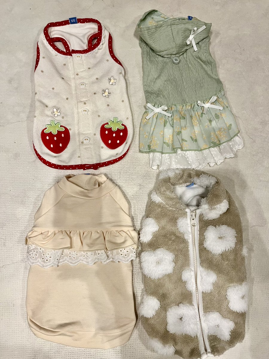 虎子 tweet media