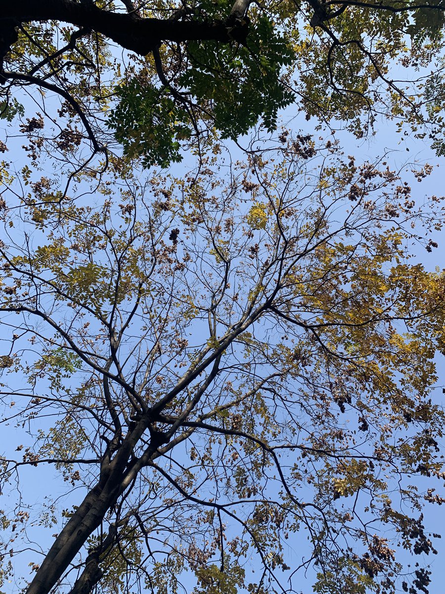 upUID's tweet image. 似乎万物都有坚定和脆弱面,不仅是人类