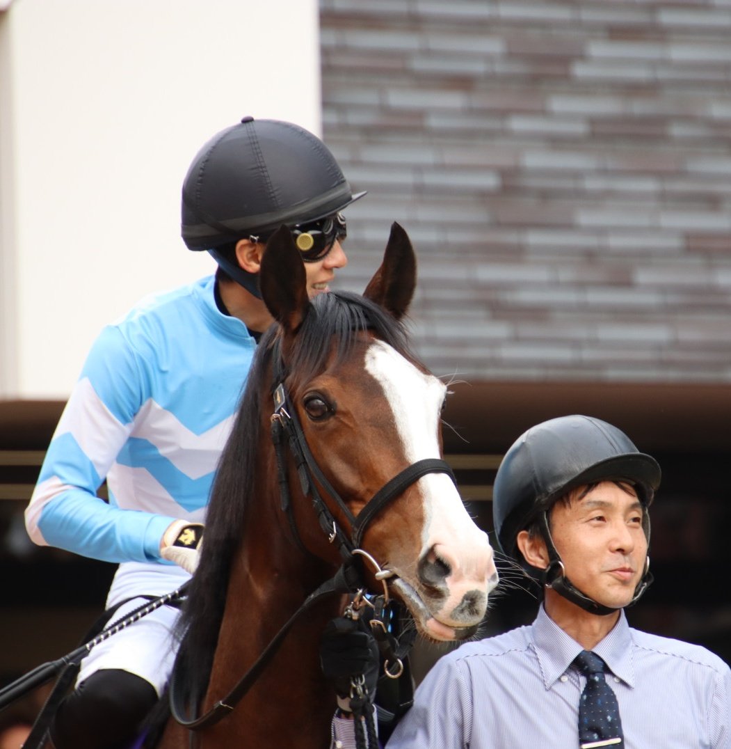 riorio__212's tweet photo. メロディーレーンちゃんに会いたいから始まって今があるので現地で応援できたレースは全て大切な思い出🫶 https://t.co/WmjmPisfys