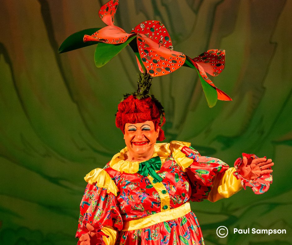 Keep the festive spirit going and join us this week for one of our last few performances of Pinocchio! 🤥✨
There’s good availability for the 5pm show tonight, tomorrow’s 7pm show and Saturday at 5pm – which is our final trip to pantoland 😥
🎟 tinyurl.com/4tzbwc73