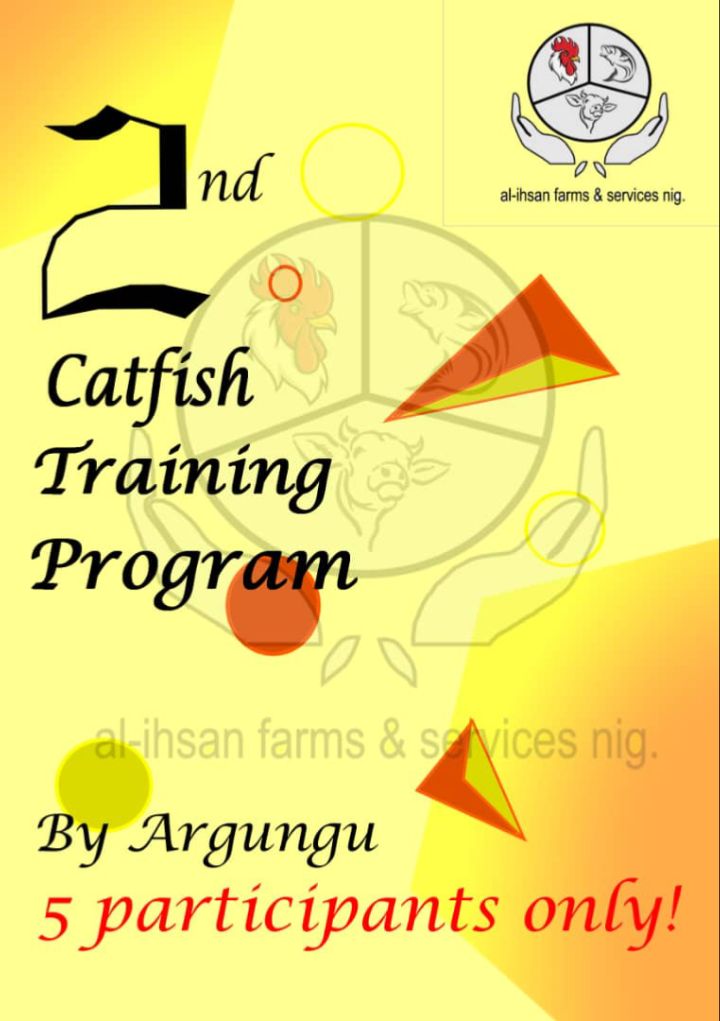 FAMNK6321's tweet photo. Join our second Batch catfish training.
Starting from March to September 2025.
Training fees included.
Note: More bonuses included. https://t.co/qRFPBHCAHl