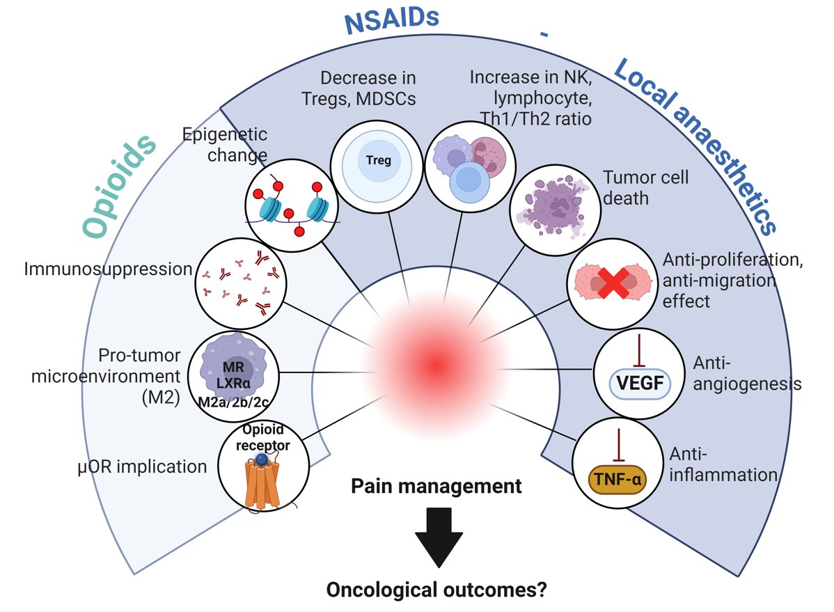 EJ Anaesthesiology (@eja_journal) on Twitter photo Drugs and strategies used for perioperative pain management in cancer patients (NSAIDS, opioids, local anaesthetics) might have distinct effects on tumour biology and should be chosen for individual patients.
<a href="/UKL_Leipzig/">Universitätsklinikum Leipzig</a>
<a href="/UQPharmacy/">UQ Pharmacy</a>
<a href="/Patrice_Forget/">Patrice Forget, MD, PhD</a>
🔗tinyurl.com/yb8a2d8k Drugs and strategies used for perioperative pain management in cancer patients (NSAIDS, opioids, local anaesthetics) might have distinct effects on tumour biology and should be chosen for individual patients.
<a href="/UKL_Leipzig/">Universitätsklinikum Leipzig</a>
<a href="/UQPharmacy/">UQ Pharmacy</a>
<a href="/Patrice_Forget/">Patrice Forget, MD, PhD</a>
🔗tinyurl.com/yb8a2d8k