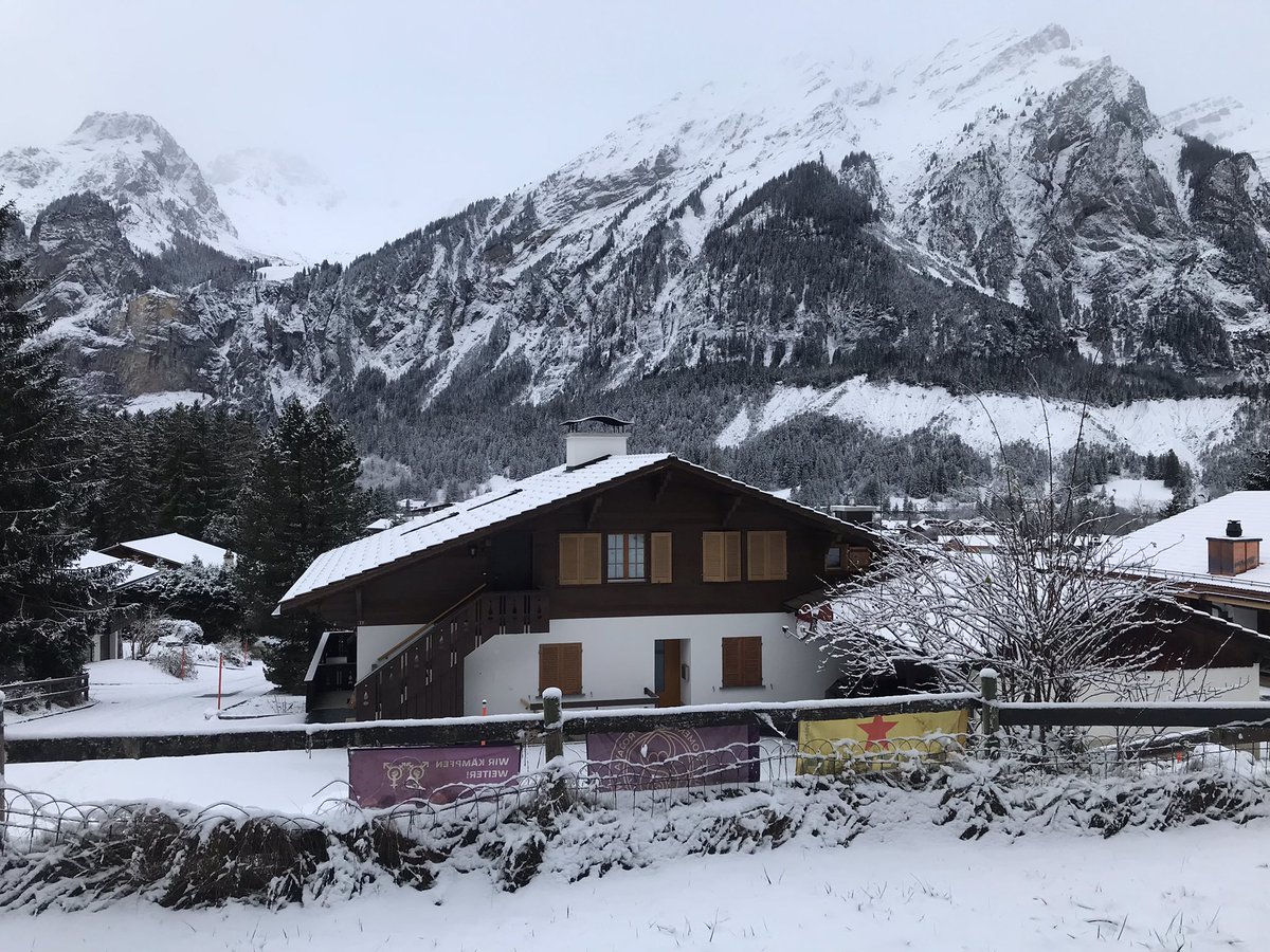 Boubble ☮️ 🪸 ❌❌ 33.3% 🦎 tweet media