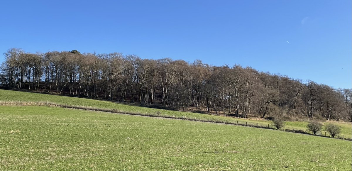 Finally some blue skies over Berkshire - a good day to wish everyone a Happy New Year!