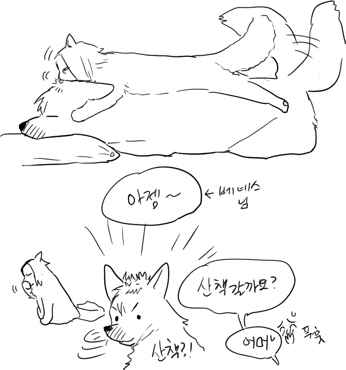 👩‍🦳🐶🐱🐱 