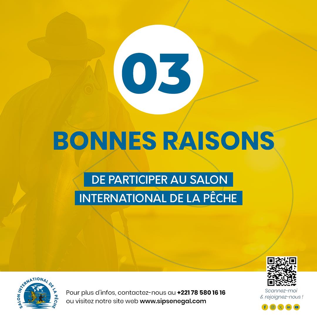 Nous vous donnons trois bonnes raisons de participer au Salon international de la Pêche.
Pour en savoir plus, contactez-nous au +221 78 580 16 16 ou visitez notre site web sipsenegal.com
#SIPSN2025
#JeParticipeAuSIP
#SalonInternalDeLaPecheSenegal
