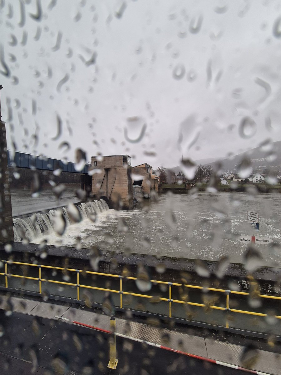 Masters Rugby League Referee (@paul_mastersrl) on Twitter photo Yes, this really is the <a href="/hotelviews/">hotel room views</a> from Scenic Jasper this morning on River Main near Wertheim.
Day on board, I think. Yes, this really is the <a href="/hotelviews/">hotel room views</a> from Scenic Jasper this morning on River Main near Wertheim.
Day on board, I think.