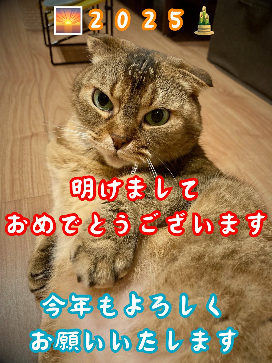 nigamaeri's tweet photo. と、いうワケでっ！
世界征服は諦めました…ので、ニューイヤーロックフェスにて【エリ様のお戯れ】で、世界征服プチ⭐︎コーナーをやって、〆ようと思います…！
（これにて『エリ様』自体も卒業の兆し…？です🤔）
お戯れの出番は17時50分頃です。
ご観覧のご予約、心よりお待ちしておりますっ…！🙇🏻‍♀️ https://t.co/PkLoOcTPBw